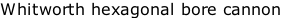 Whitworth hexagonal bore cannon